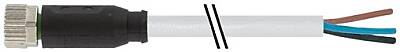 7000-08041-2200700 M8 female 0° A-cod. with cable PUR 3x0.25 gy UL/CSA 7m - 1