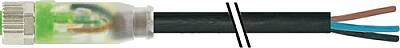 7000-08111-6500200 M8 female 0° A-cod. with cable LED PUR 3x0.25 bk UL/CSA+robot+drag ch. 2m - 1