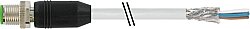 7000-17081-2910080 M12 male 0° A-cod. with cable shielded PUR 8x0.25 shielded gy UL/CSA+drag ch. 0.8m