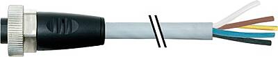 7000-78021-9650020 7/8'' female 0° with cable PUR 5x1.0 gy 0.2m - 1