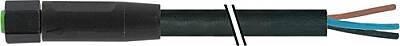 7003-08048-8280200 M8 female 0° A-cod. with cable V4A FEP 5xAWG22 bk 2m - 1