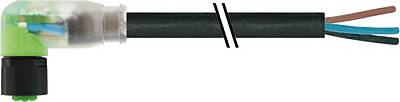 7005-08102-6110500 M8 female 90° A-cod. with cable LED Lite PVC 4x0.25 bk UL/CSA 5m - 1
