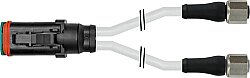 7972-77561-4281000 MDCY06-4s / 2x M12 female 0° Xtreme PUR 3x0.5 gy UL/CSA+drag chain 10m