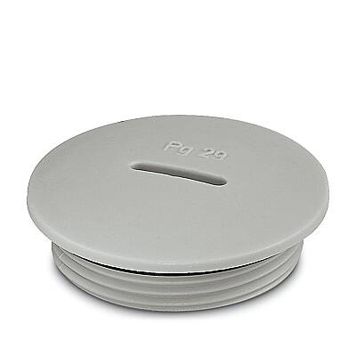 A-INSP-PG29-65N-P-LG - Vida fişi - 1