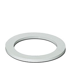 A-SEW-20-P-W - Düz conta