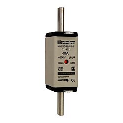 C216202 - NH0GG50V40-1