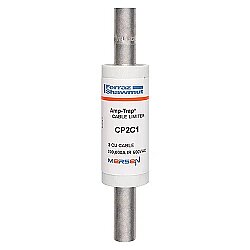 CP2C1