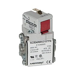 E1046895 - SC30AR69V315TFM