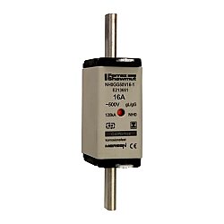 E213651 - NH0GG50V16-1