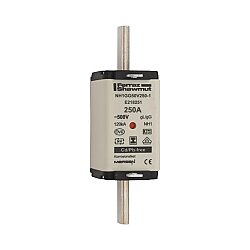 E218251 - NH1GG50V250-1