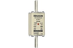 E219815 - NH1GG50V250