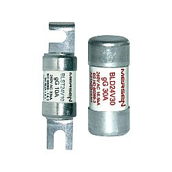 F1065687 - BLST24V6