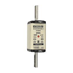 F218252 - NH2GG50V250-1