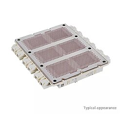 FS225R12OE4P