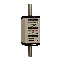 G229753 - NH1GG69V224-1
