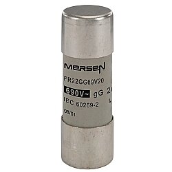 P211038 - FR22GG69V20