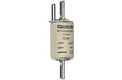 P219801 - NH1GG69V125P-2