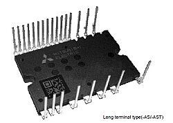 PS219B2-AS