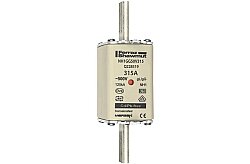 Q228519 - NH1GG50V315
