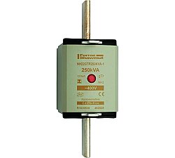 R1030530 - NH22GTR250KVA-1
