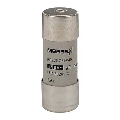 R214628 - FR22GG69V4P - 1