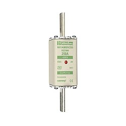 R227899 - NH1AM69V250