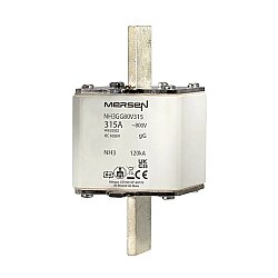 T1204182 - NH3GG80V315